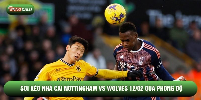 Soi kèo nhà cái Nottingham vs Wolves 12/02 qua phong độ