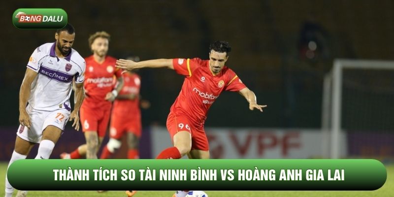 Thành tích so tài Ninh Bình vs Hoàng Anh Gia Lai